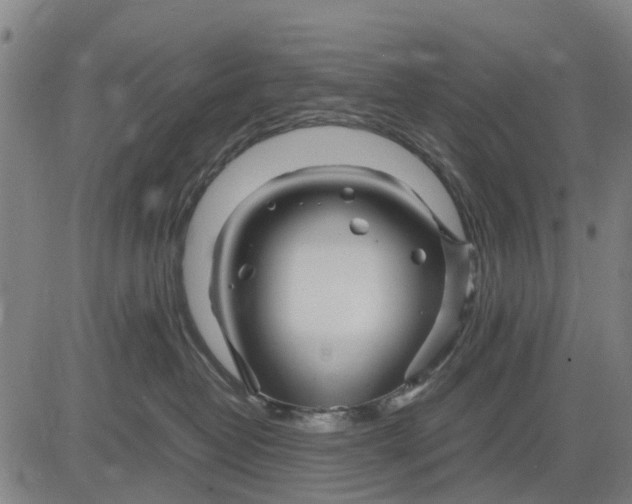 X0000083660382200703051758