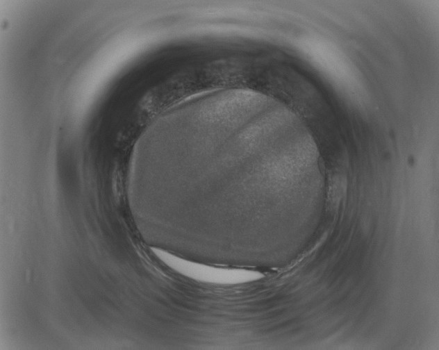 X0000083660383200703051758