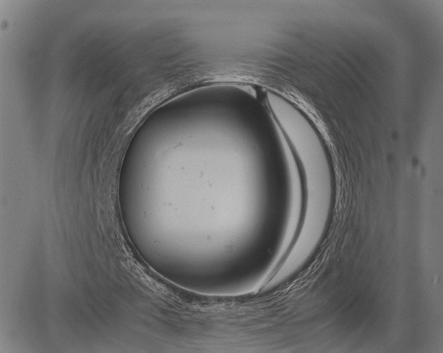 X0000083660385200703051757