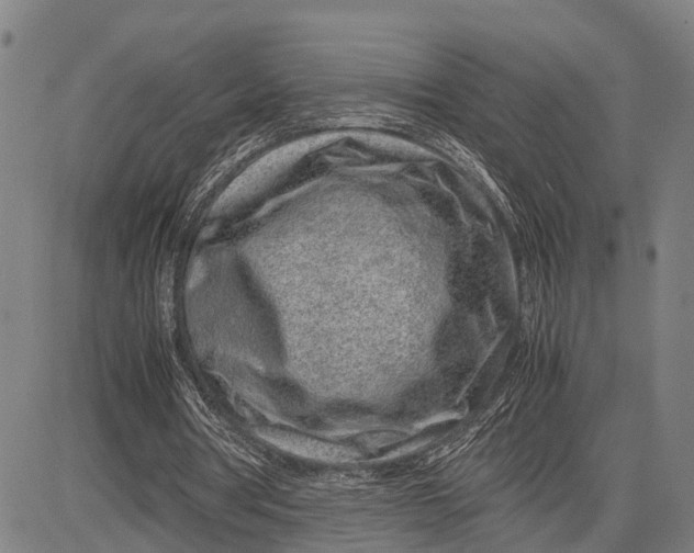 X0000083660386200703051757