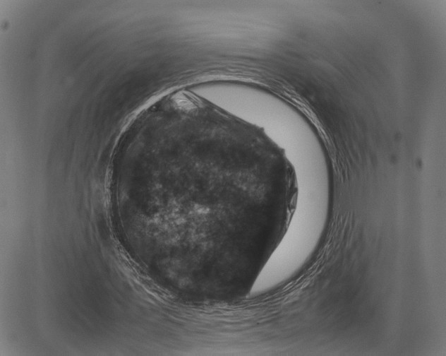 X0000083660387200703051757