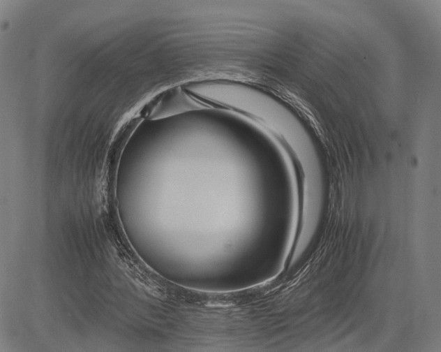 X0000083660388200703051757