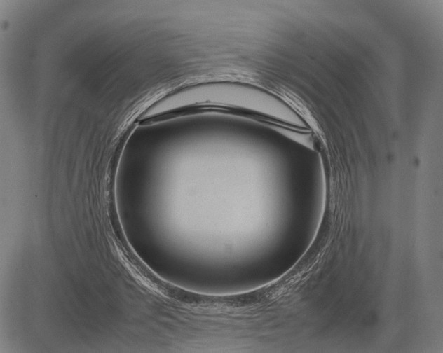 X0000083660389200703051757