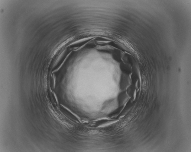 X0000083660390200703051757