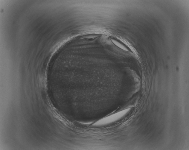 X0000083660391200703051757