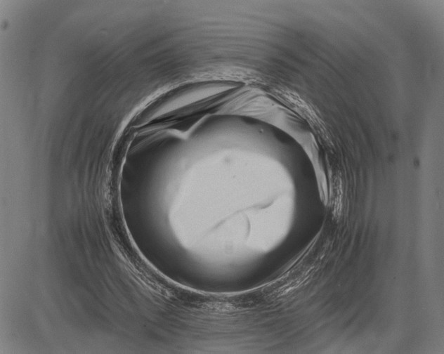 X0000083660392200703051757