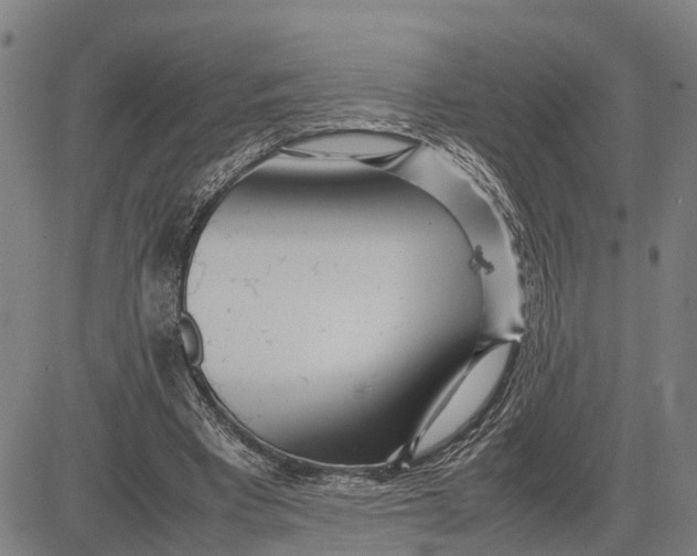 X0000083660393200703051757