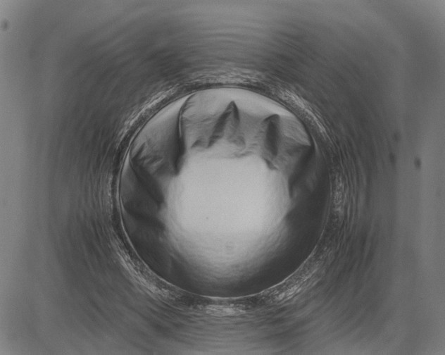 X0000083660394200703051757