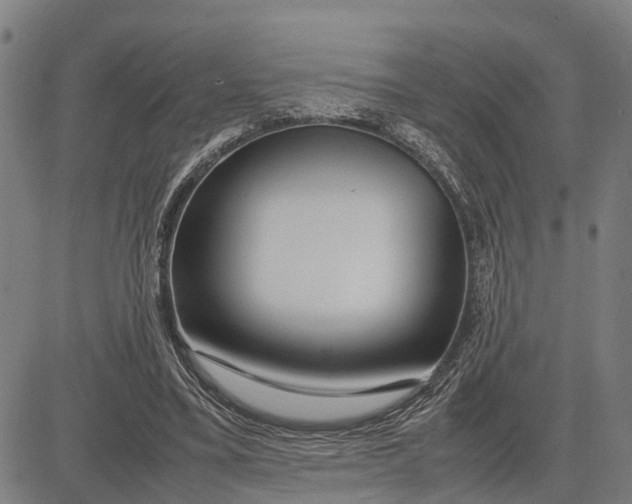 X0000083660395200703051757