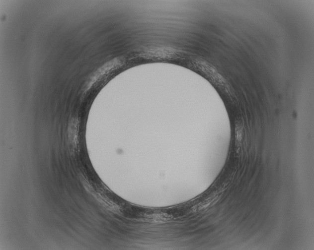 X0000083660396200703051757