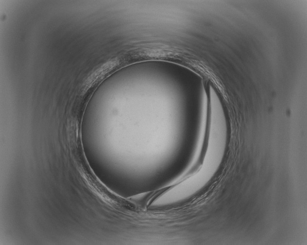 X0000083660397200703051757