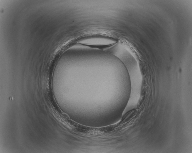 X0000083660399200703051757