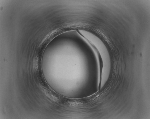 X0000083660400200703051757