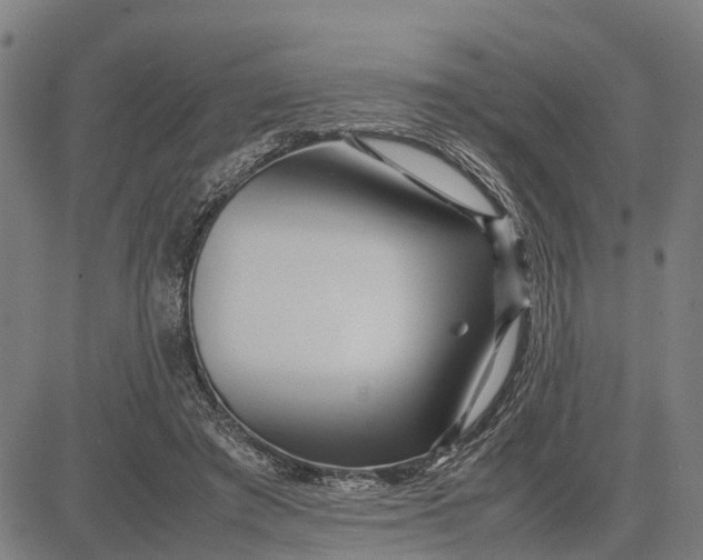 X0000083660401200703051757