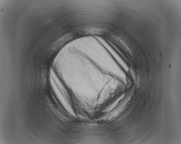 X0000083660402200703051757