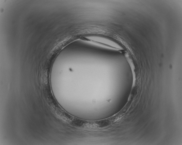 X0000083660403200703051757