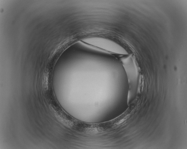 X0000083660404200703051757