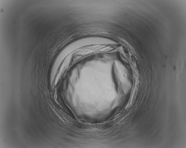 X0000083660405200703051757