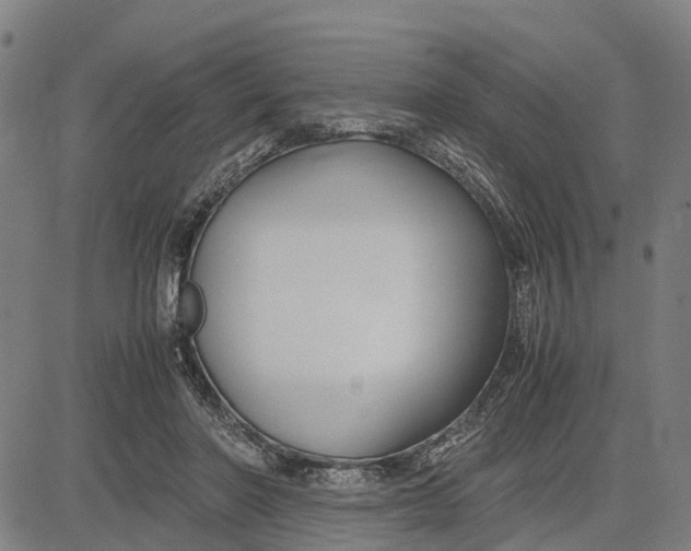 X0000083660406200703051757