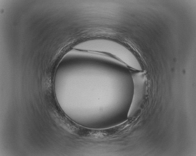 X0000083660407200703051757