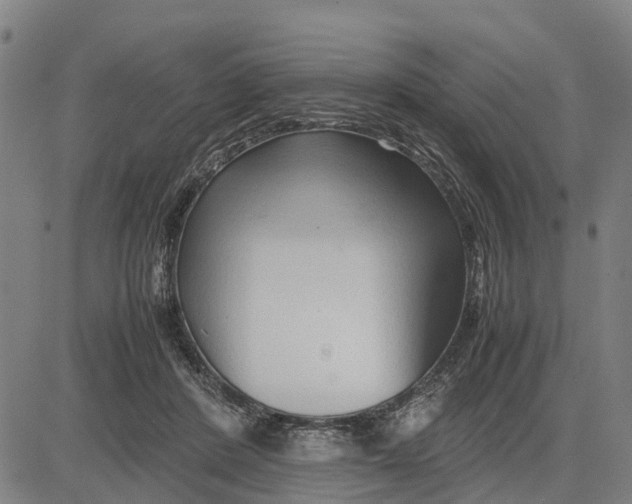 X0000083660408200703051757