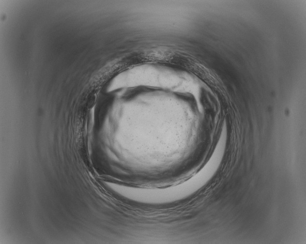 X0000083660409200703051757