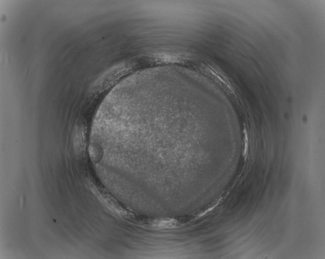 X0000083660410200703051757