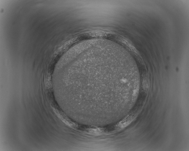 X0000083660411200703051757