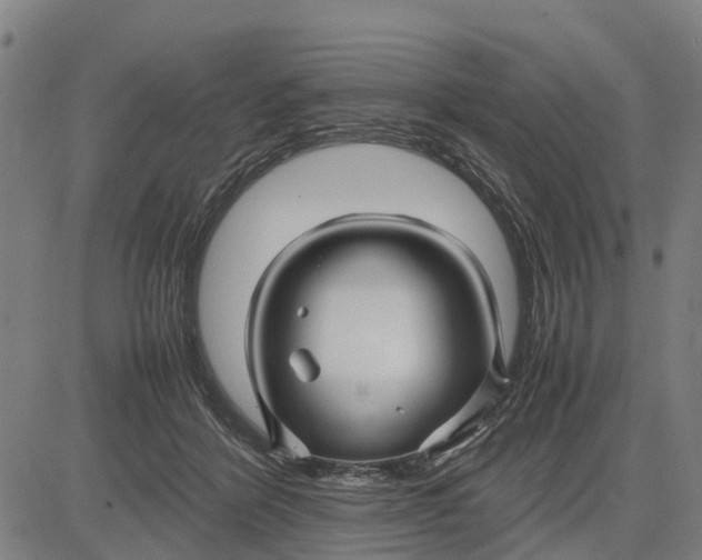 X0000083660412200703051757