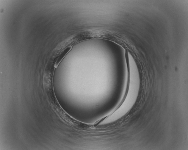 X0000083660413200703051757