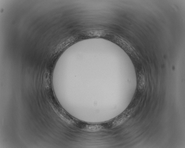 X0000083660414200703051757