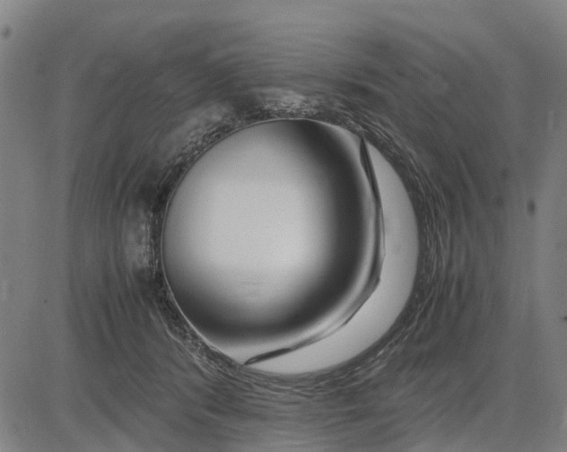 X0000083660416200703051757