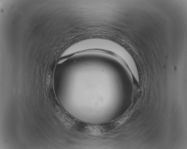 X0000083660417200703051757