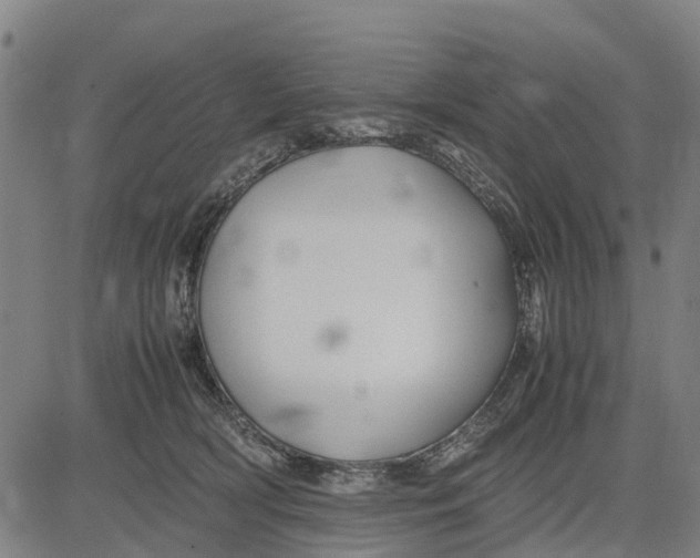 X0000083660418200703051757