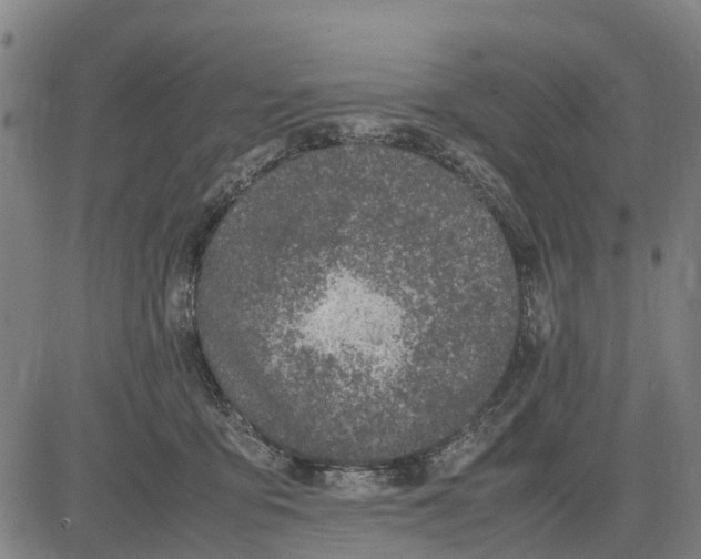 X0000083660419200703051757