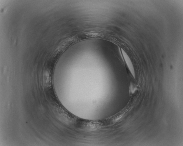 X0000083660420200703051757