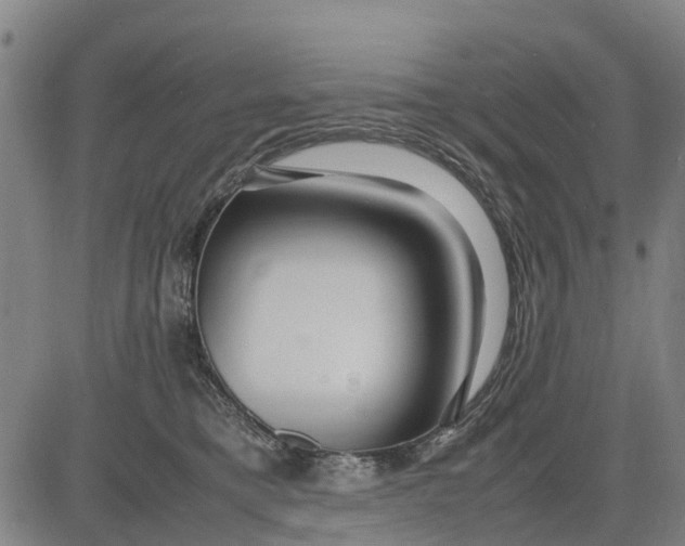 X0000083660421200703051757