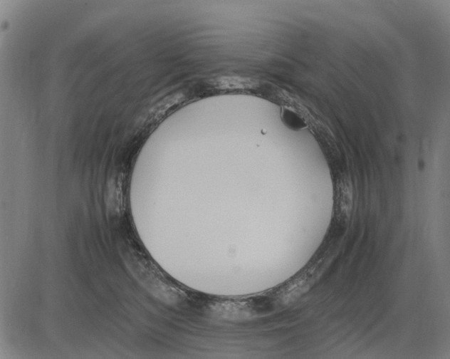 X0000083660422200703051757