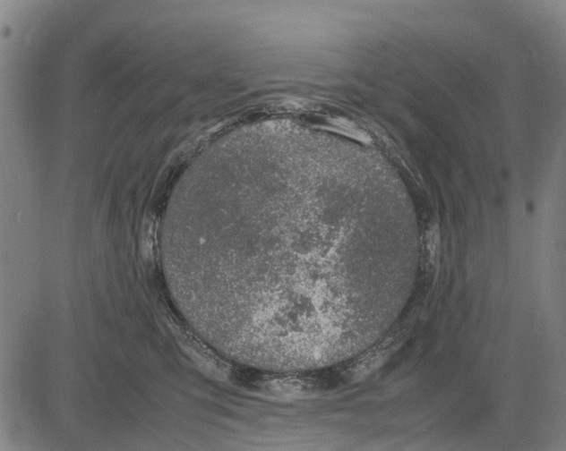 X0000083660423200703051757