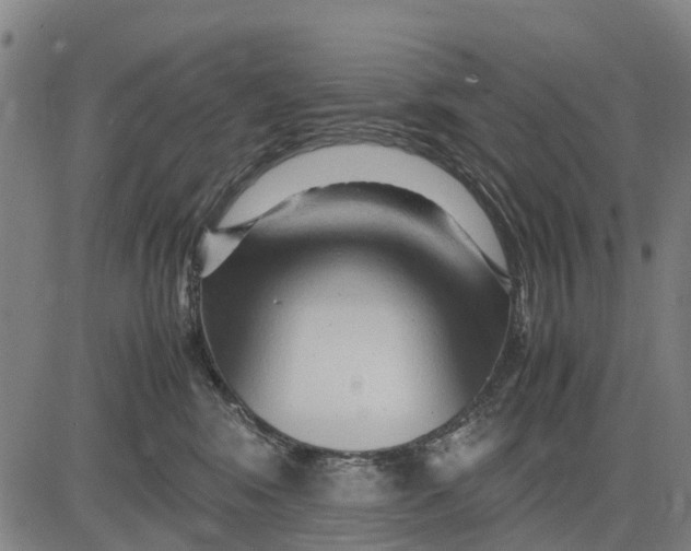 X0000083660424200703051757