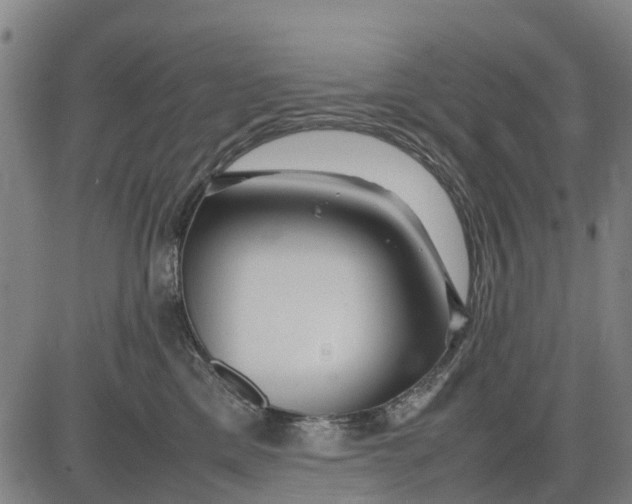 X0000083660425200703051757