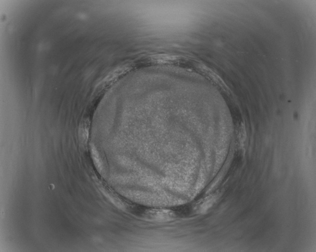 X0000083660427200703051756