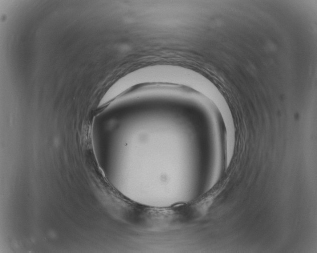 X0000083660429200703051756