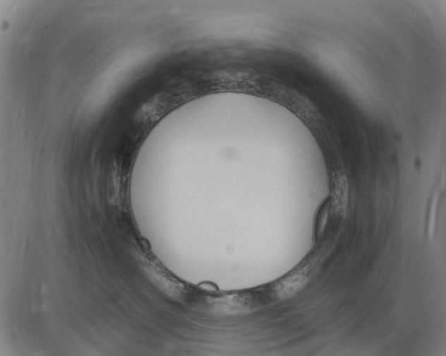 X0000083660430200703051756