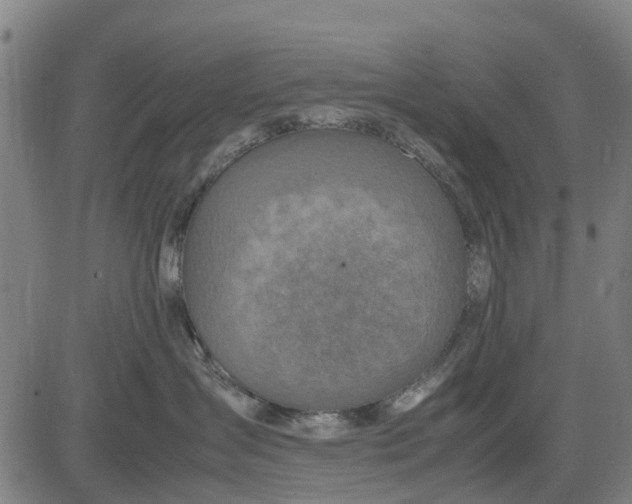 X0000083660431200703051756