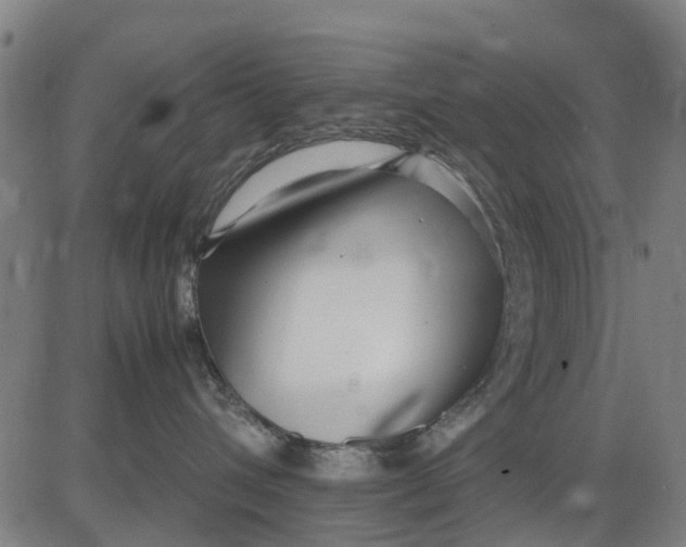 X0000083660432200703051756