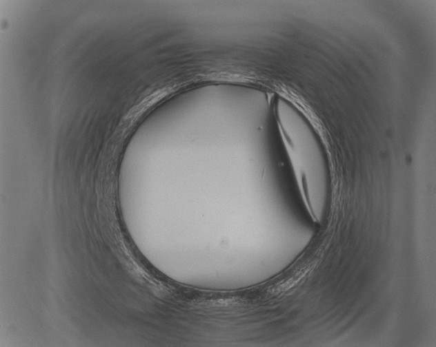 X0000083660433200703051756