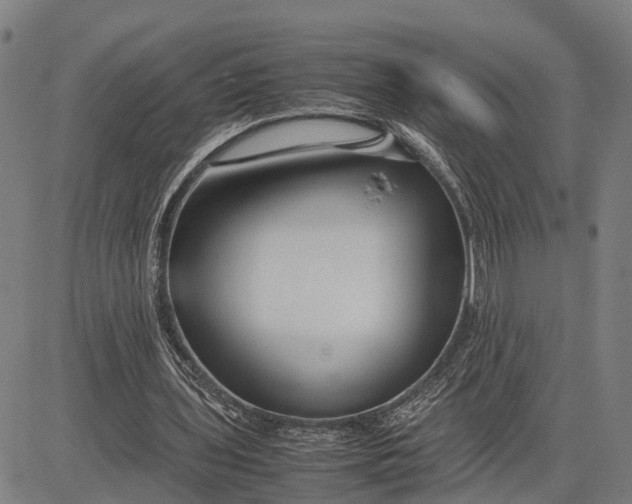 X0000083660435200703051756