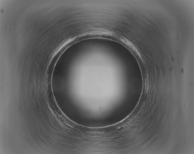 X0000083660436200703051756