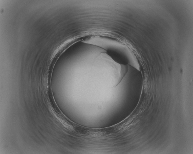 X0000083660438200703051756